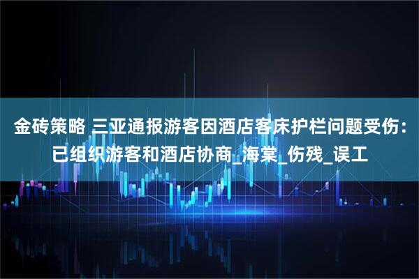 金砖策略 三亚通报游客因酒店客床护栏问题受伤：已组织游客和酒店协商_海棠_伤残_误工