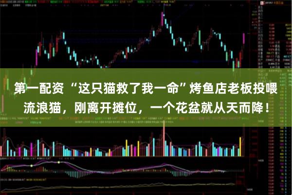 第一配资 “这只猫救了我一命”烤鱼店老板投喂流浪猫，刚离开摊位，一个花盆就从天而降！