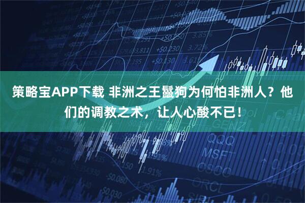 策略宝APP下载 非洲之王鬣狗为何怕非洲人？他们的调教之术，让人心酸不已！